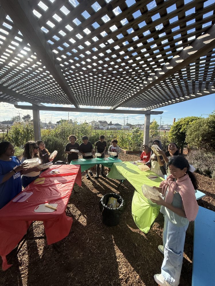 Outdoor garden classroom